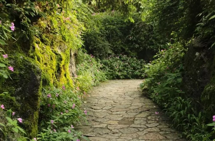 A path in the garden. How to make it?