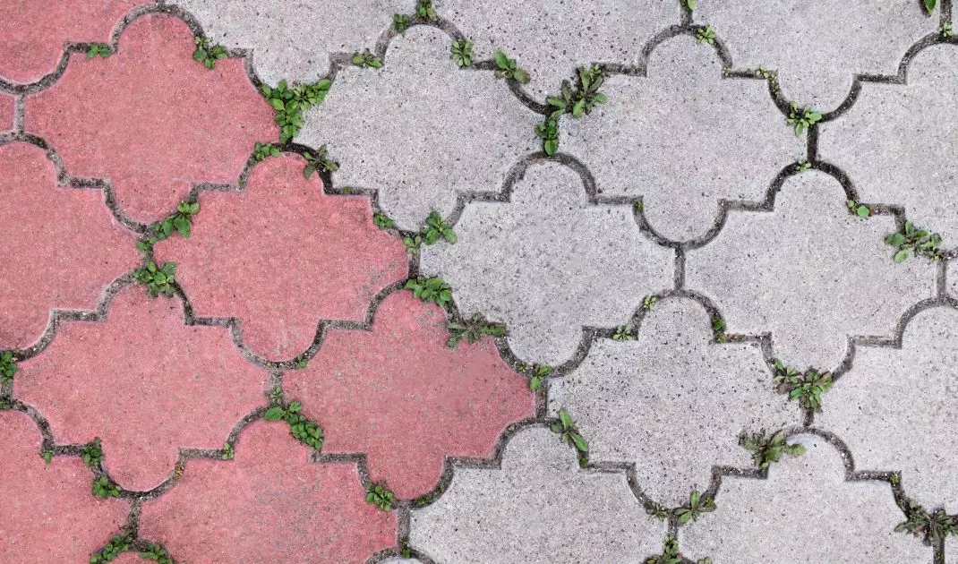 Taking care of pavement stones