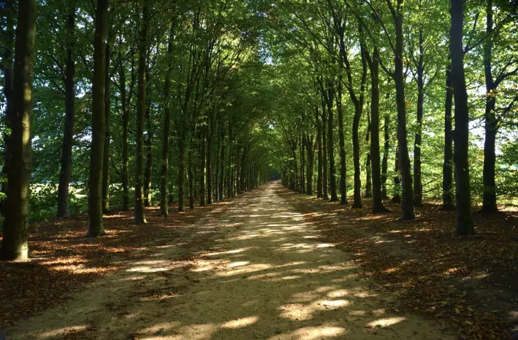 Green practices in the service of green cities