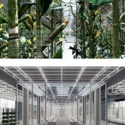 Projekt Kacpra Góry z Wydziału Architektury Wnętrz ASP w Krakowie
