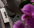 Nice Domì
