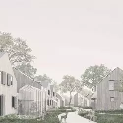 woonerf