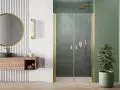 Drzwi prysznicowe NES DWJ Brushed Gold