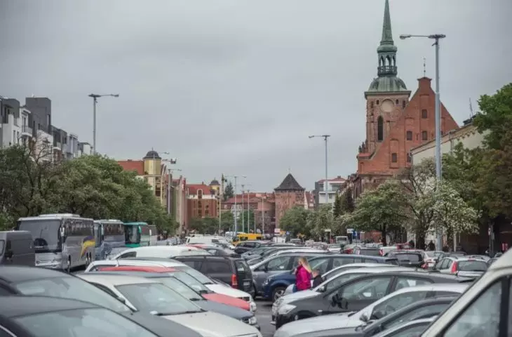 Odtworzą aleję drzew, przegonią samochody. Konkurs na zagospodarowanie Długich Ogrodów!
