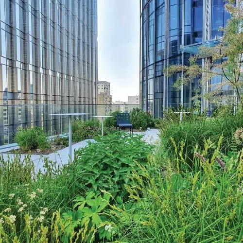 Green City Life – dystrybutor sytemu „dachów zielonych” ZinCo zgodnych z gospodarką cyrkularną