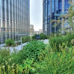 Enklawa zieleni na dachu w otoczeniu wysokich biurowców Mennica Legacy Tower fot. A. Lech, GCL