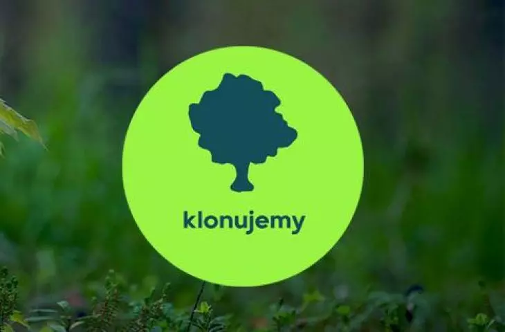 Mieszkańcy biorą sprawy w swoje ręce – w Krakowie wyrosną drzewa od Fundacji Tytano