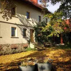 Pokrzywnik 11