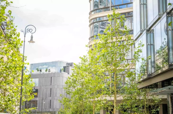 Warsaw even greener! City introduces revolutionary document for new investments