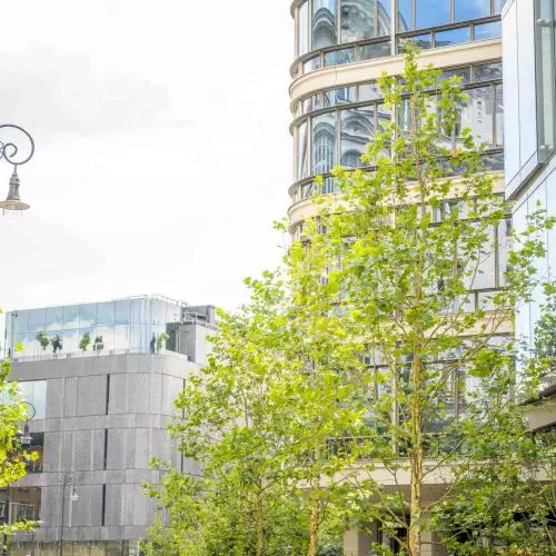 Warsaw even greener! City introduces revolutionary document for new investments