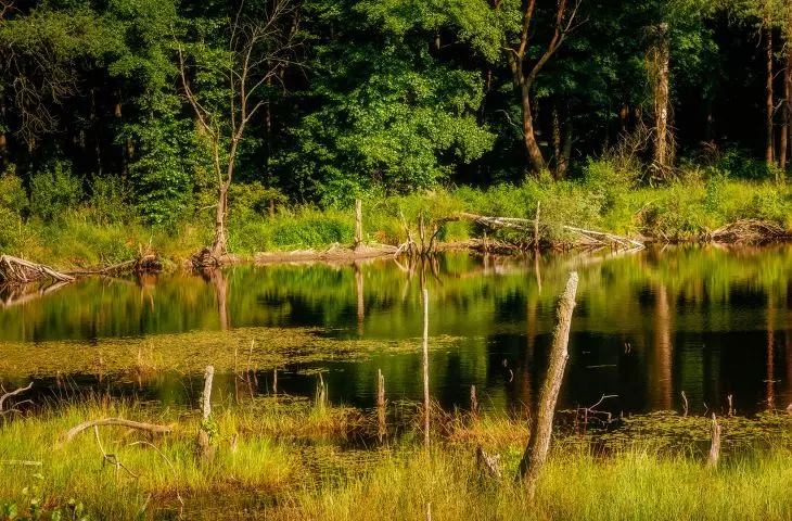 River restoration: Dutch inspiration for water management in Poland