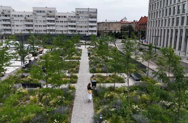 Wrocławski plac kandydatem do europejskiej nagrody – Jak zmieniał się plac Nowy Targ we Wrocławiu?