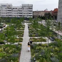 Zazieleniony Plac Nowy Targ we Wrocławiu
