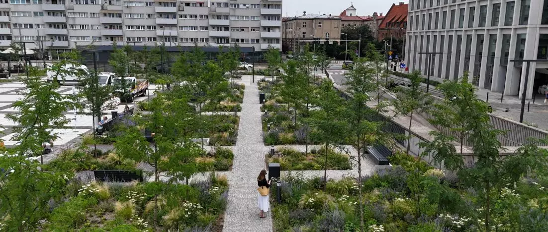 Wrocławski plac kandydatem do europejskiej nagrody – Jak zmieniał się plac Nowy Targ we Wrocławiu?