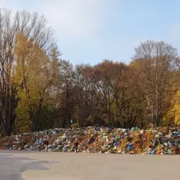 Zdjęcie śmieci wokół cmentarza Bródnowskiego w Warszawie