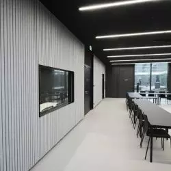 HeartFelt® Linear, Siedziba DFB we Frankfurcie, Niemcy