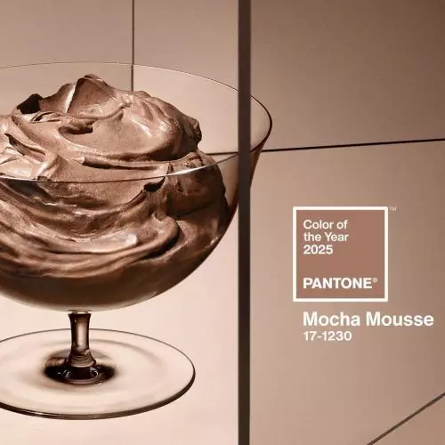 The Pantone Institute has announced the color of the year 2025! It is the shade Mocha Mousse