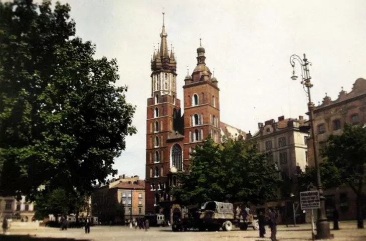 Gdzie wyrosną drzewa na rynku w Krakowie?