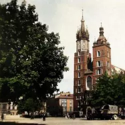 Gdzie wyrosną drzewa na rynku w Krakowie?