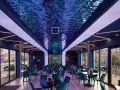 SL Ocean Aqua (zdjęcie: Cafè Plazs Budapest, Węgry)