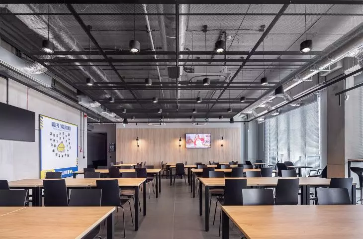 Mineral, metal, wood wool and wood-like ceilings