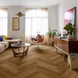 Dąb karmelowy botaniczny, linia Ciro