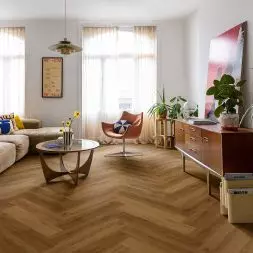 Dąb karmelowy botaniczny, linia Ciro
