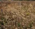 sustainable development of urban space begins with efficient legal and institutional mechanisms that direct the flow and generation of capital from urban investment