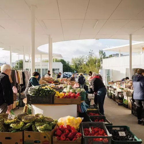 Bazar to żywy organizm – o projektach Aleksandry Wasilkowskiej
