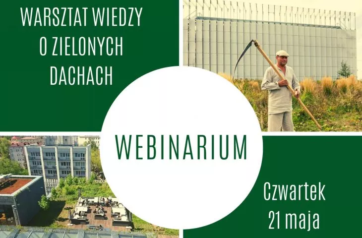 How to design green roofs? Webinar for industry professionals