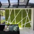 Green Elephant - a company created from a passion for plants