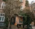 Ivy overgrows a tenement house at the intersection of Świętego Ducha and Złotników Streets
