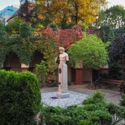 Uniwersytet Opolski, Collegium Maius