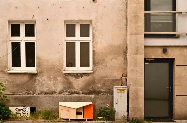 KOTYdż - creative space for free-living cats in Poznań