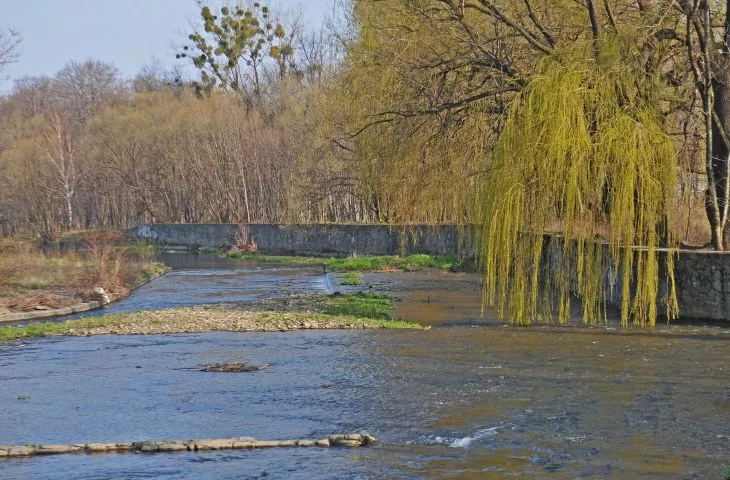 Rzeka Białka w Bielsku-Białej