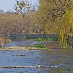 Rzeka Białka w Bielsku-Białej