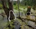 Indicating water