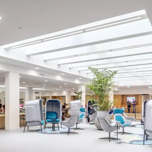 Ivy League Acoustics. Can universities keep students from getting tired of noise?