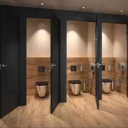 Czarny system spłukiwania bezzbiornikowego TEMPOMATIC Dual Control i WC z Inoxu od DELABIE