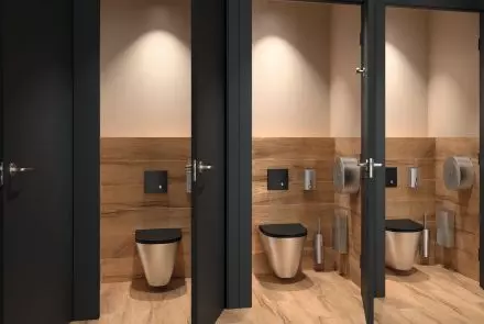 Czarny system spłukiwania bezzbiornikowego TEMPOMATIC Dual Control i WC z Inoxu od DELABIE
