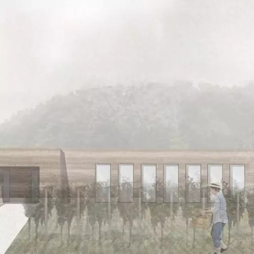 Jak architektura wpływa na terapię zespołu stresu pourazowego?