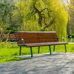 Park Śląski w Chorzowie