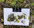 Herbarium