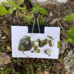 Herbarium