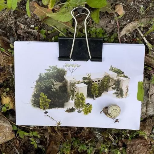 What if plants took over human living space?