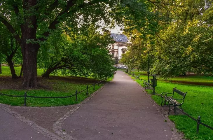 Kraków ma Miejską Ogrodniczkę! Czy pod Wawelem powstanie sto nowych woonerfów?