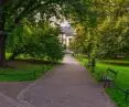 Krakow has elected an Urban Gardener!