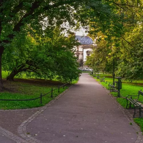 Kraków ma Miejską Ogrodniczkę! Czy pod Wawelem powstanie sto nowych woonerfów?