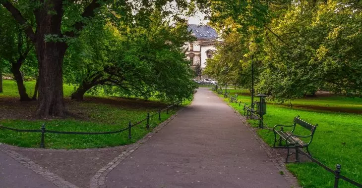 Kraków wybrał Miejską Ogrodniczkę!