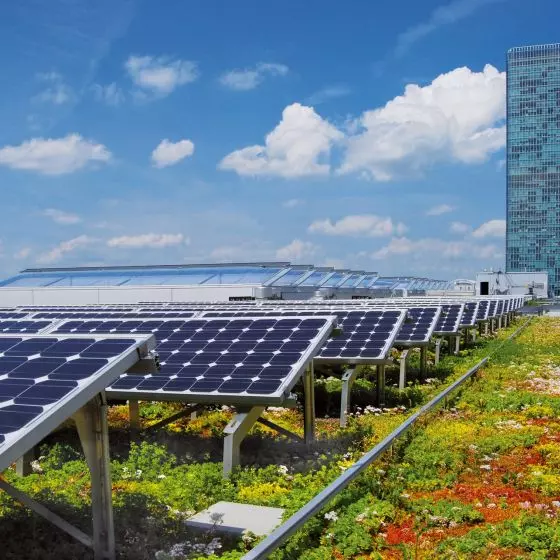 Dach biosolarny w Monachium